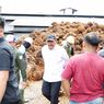 Wagub Bengkulu Ancam Tutup Pabrik CPO Tak Patuh Harga TBS Sawit