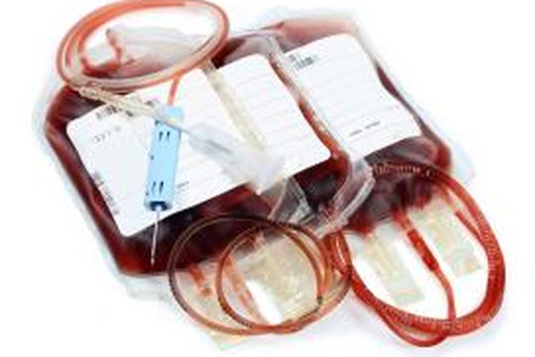 Transfusi menerima dari resipien tidak donor yang terjadi golongan jika darah darahnya bahaya adalah yang sama Mengenal Struktur