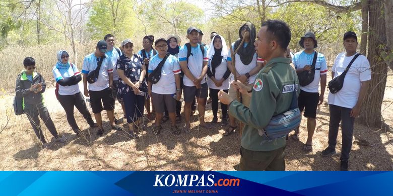 Seleksi Bersama Masuk Ptn Pariwisata Dibuka Ini Informasinya Seleksi Bersama Masuk Ptn Pariwisata Dibuka Ini Informasinya