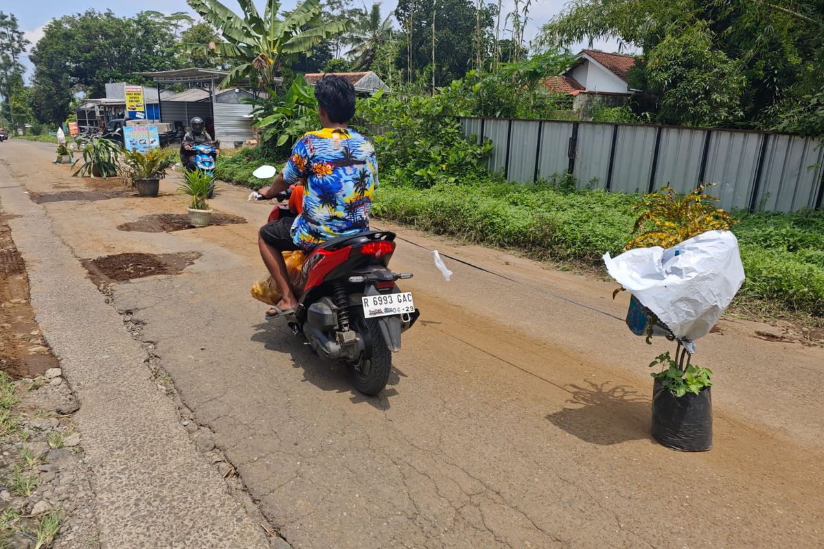 Protes Jalan Rusak, Warga Pasang Pot di Jalur Baturraden Timur Banyumas