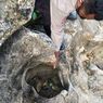 Pria Ini Temukan Granat Nanas Aktif Sisa Perang di Sungai Gunungkidul, Awalnya Dikira Batu