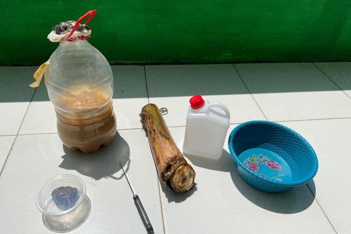 Alat dan Bahan Proyek Inovasi Pupuk Organik Cair (POC) Bonggol Pisang.