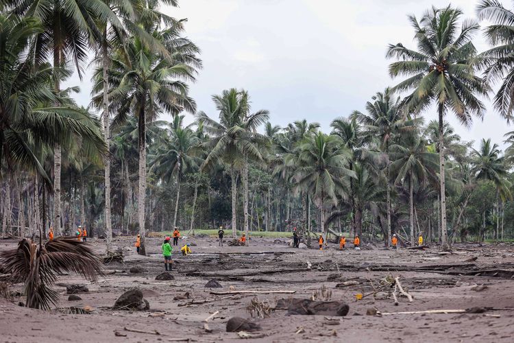 Tim SAR gabungan menyusuri jalur material guguran awan panas Gunung Semeru saat operasi pencarian korban di Desa Sumberwuluh, Lumajang, Jawa Timur, Senin (6/12/2021). Berdasarkan laporan Badan Nasional Penanggulangan Bencana (BNPB), jumlah korban meninggal dunia sampai Minggu (5/12) sore berjumlah 14 orang dan operasi pencarian korban oleh tim SAR gabungan masih terus berlangsung.