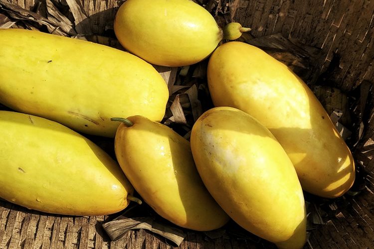 Ilustrasi timun suri. 