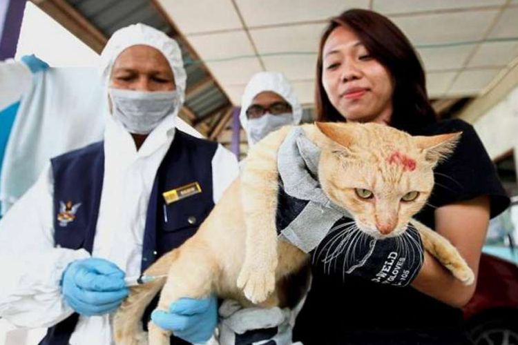 Vaksinasi anti rabies di Kampung Paon Sungai Rimu Bakung di Serian. 