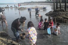 Ribuan Ikan Muncul ke Permukaan Muara Pantai Kota Baubau, Warga Berdatangan Mengambil