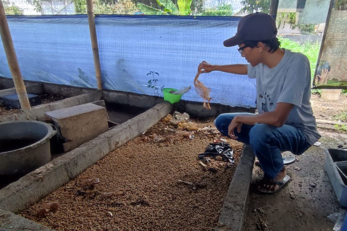 Mengenal Reformasi Hijau, Unit Usaha Pengolah Limbah Makan Bergizi Gratis di Magelang