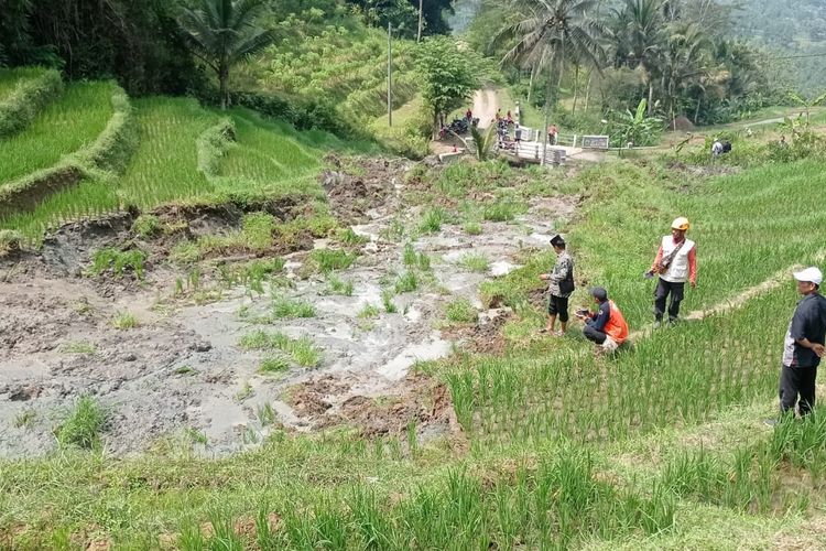 Tim BPBD Kabupaten Ponorogo mengecek lokasi longsor area sawah di  Desa Tumpak Pelem, Kecamatan Sawoo, Kabupaten Ponorogo, Jawa Timur, Jumat (5/5/2023). 