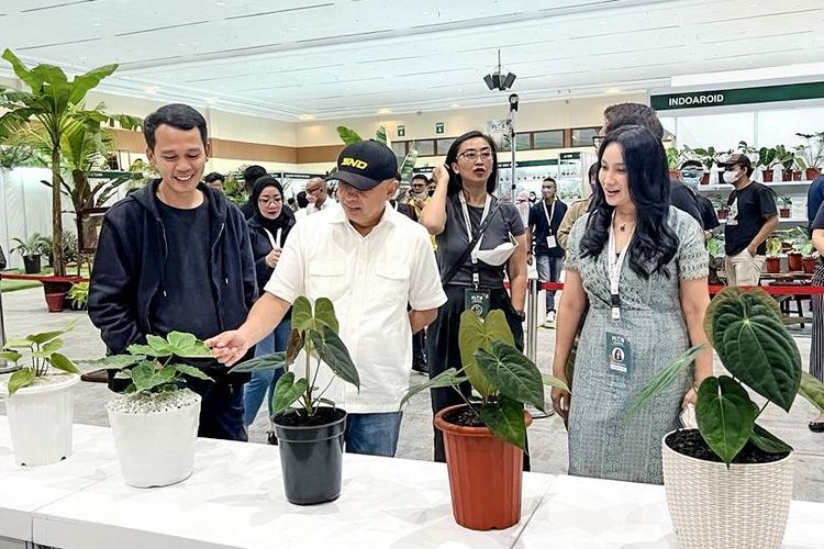 Teten mengunjungi Pameran Floriculture Indonesia International (FLOII) yang diselenggarakan oleh Perhimpunan Florikultura Indonesia di Jakarta, Sabtu (15/10/2022) 
