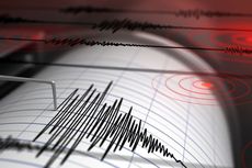 Pasaman Barat Diguncang 2 Kali Gempa, Warga Berhamburan Keluar Rumah