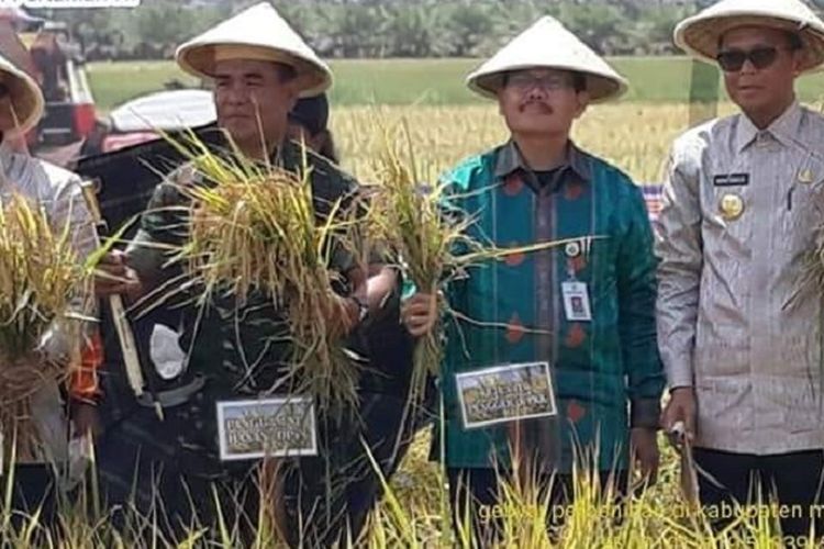 Direktur Perbenihan Direktorat Jenderal Tanaman Pangan Muhammad Takdir Mulyadi dan Gubernur Sulawesi Selatan Nurdin Abdulah (pertama dari kanan) memanen benih tanaman pangan Varietas inpari 8 yang dipamerkan dalam Gebyar Perbenihan Tanaman Pangan Tingkat Nasional VI Tahun 2018 yang dilaksanakan dari 23 - 26 Oktober 2018 di Maros, Sulawesi Selatan.