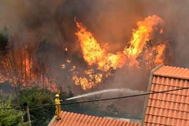 Seorang petugas pemadam kebakaran berdiri di atas atap sebuah rumah di kota Funchal, Madeira, Portugal mencoba mengendalikan api kebakaran hutan.