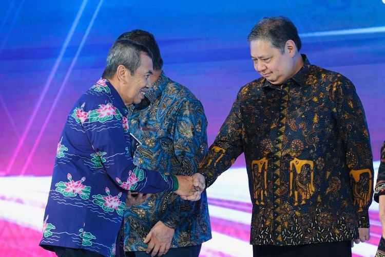 Pemprov Riau raih penghargaan TP2DD