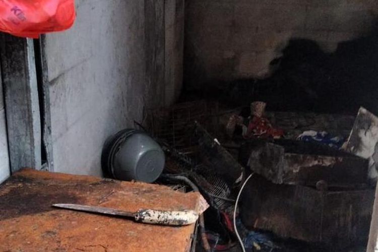 Kondisi shelter hewan di Bogor yang dibakar, enam kucing tewas karena sesak nafas, Kamis (13/7/2023).