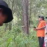 Pria Sepekan Bertahan di Atas Pohon Pinus Setinggi 20 M karena Depresi, Ini Upaya Relawan