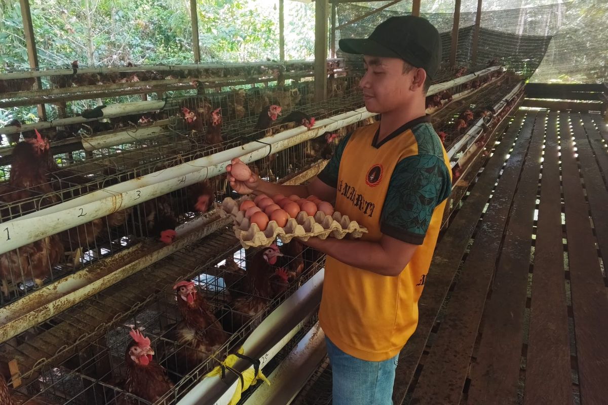 Lulusan SMK Maharati, Andika menunjukkan telur dari peternakan ayam miliknya yang berada di Desa Buhut, Kapuas Tengah, Kabupaten Kapuas.