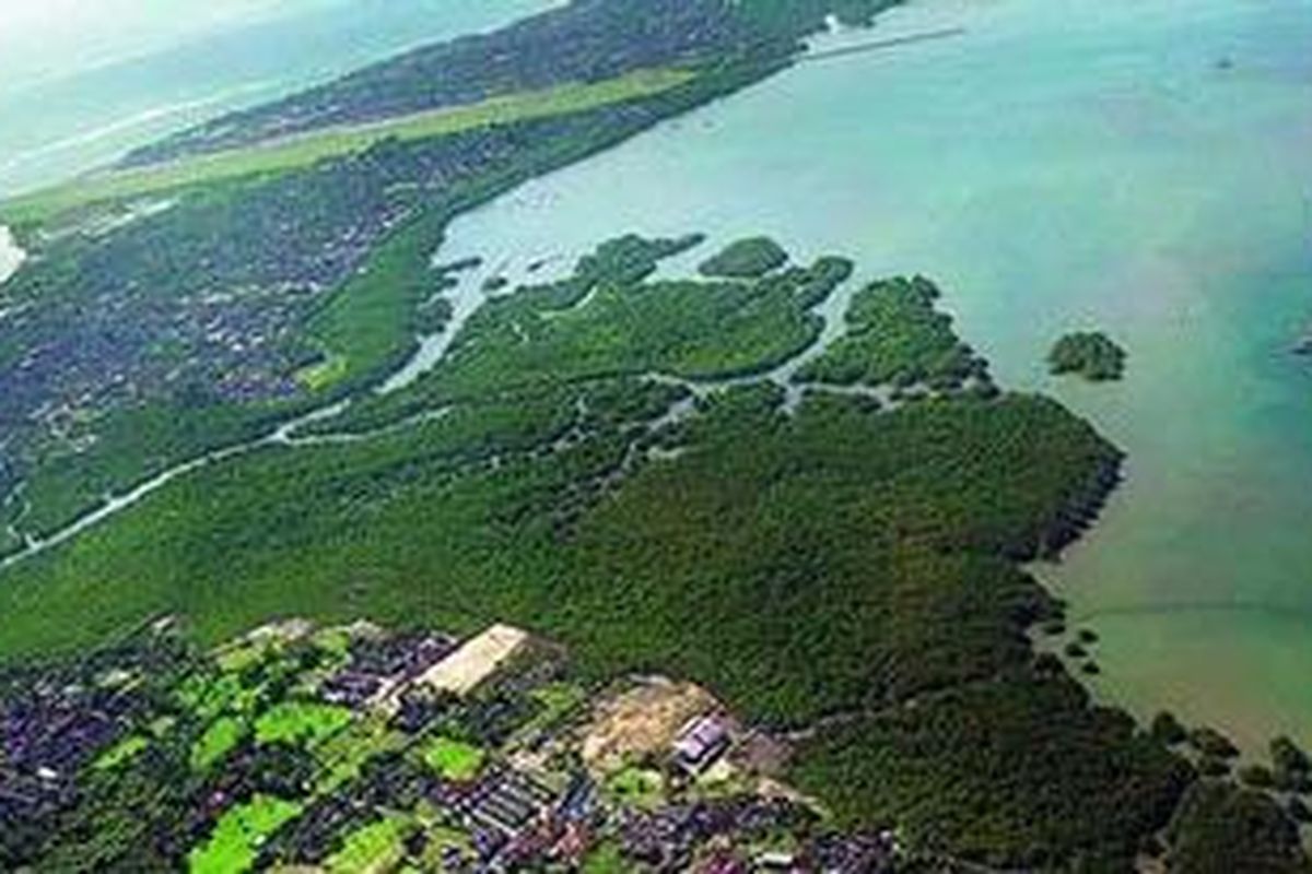 Hamparan hutan mangrove dan kawasan permukiman di Jimbaran, Kabupaten Badung, Bali, Selasa (15/5/2012). Tanpa ada pengendalian pembangunan permukiman, keberadaan hutan mangrove bisa terancam.  