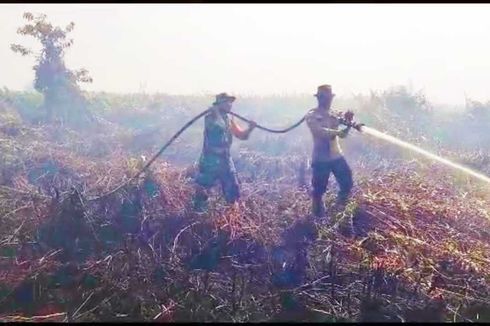 Kebakaran Lahan Gambut di Rokan Hulu Riau Sudah Mencapai 100 Hektar