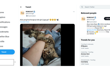 Tangkapan layar foto yang memperlihatkan kucing yang sedang memeluk tangan majikannya yang sedang sakit