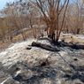 Kebakaran Lahan di Sikka, 3 Desa Terdampak