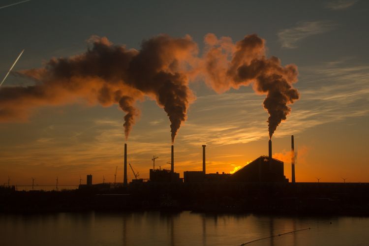 250 Perusahaan Migas Terbesar Hanya Kuasai 1,5 Persen Energi Terbarukan Dunia