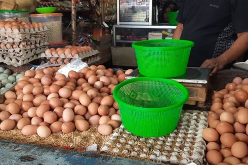 Pedagang Minta Menteri Perdagangan Atasi Lonjakan Harga Telur Ayam