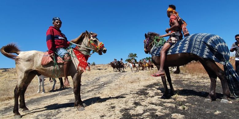 Parade Kuda Sandel digelar di Savannah Puru Kambera, Kanantang, Sumba Timur, Nusa Tenggara Timur, Jumat (12/7/2019)