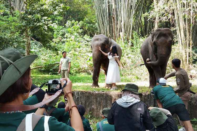 5 Tips Memotret Satwa dari Fotografer Profesional, Sabar Menunggu