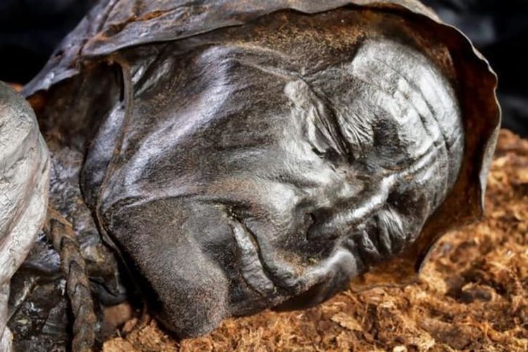 Mumi Tollund Man dari Denmark. [Via Mentalfloss.com]