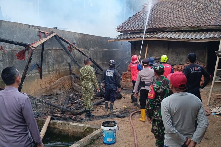 Kandang Ayam di Talaga Majalengka Ludes Terbakar, Pemilik Rugi Rp 322 Juta