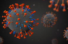 Mengenal Virus Langya, Kerabat Virus Hendra dan Virus Nipah