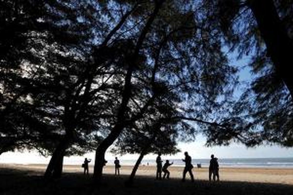 Kerindangan Cemara Udang Pantai Lombang, Kecamatan Batang-batang, Kabupaten Sumenep, Jawa Timur.