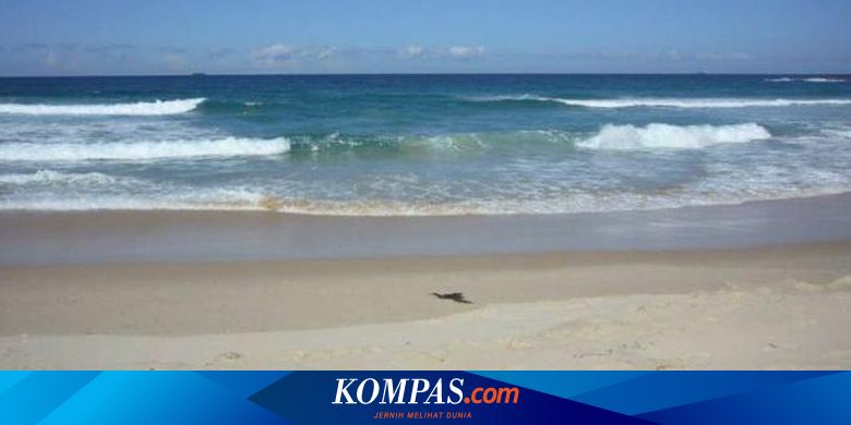 Waspadai Boleran Atau Rip Current Arus Tenang Di Pantai Yang