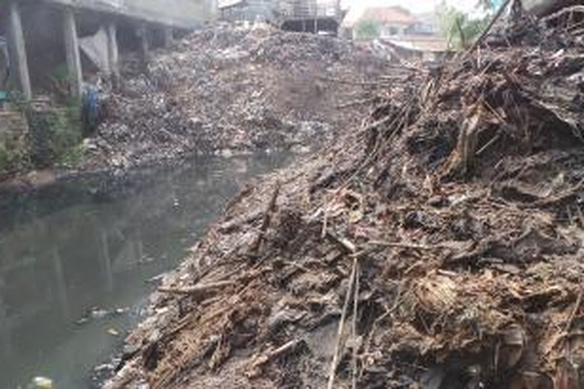 Ini gundukan sampah di Kali Cipinang di RT 03 RW 01 Kelurahan Rambutan, Kecamatan Ciracas, Jakarta Timur. Sampah ini menutupi aliran kali dan membentuk gundukan setinggi sekitar 6 meter. Senin (14/9/2015).