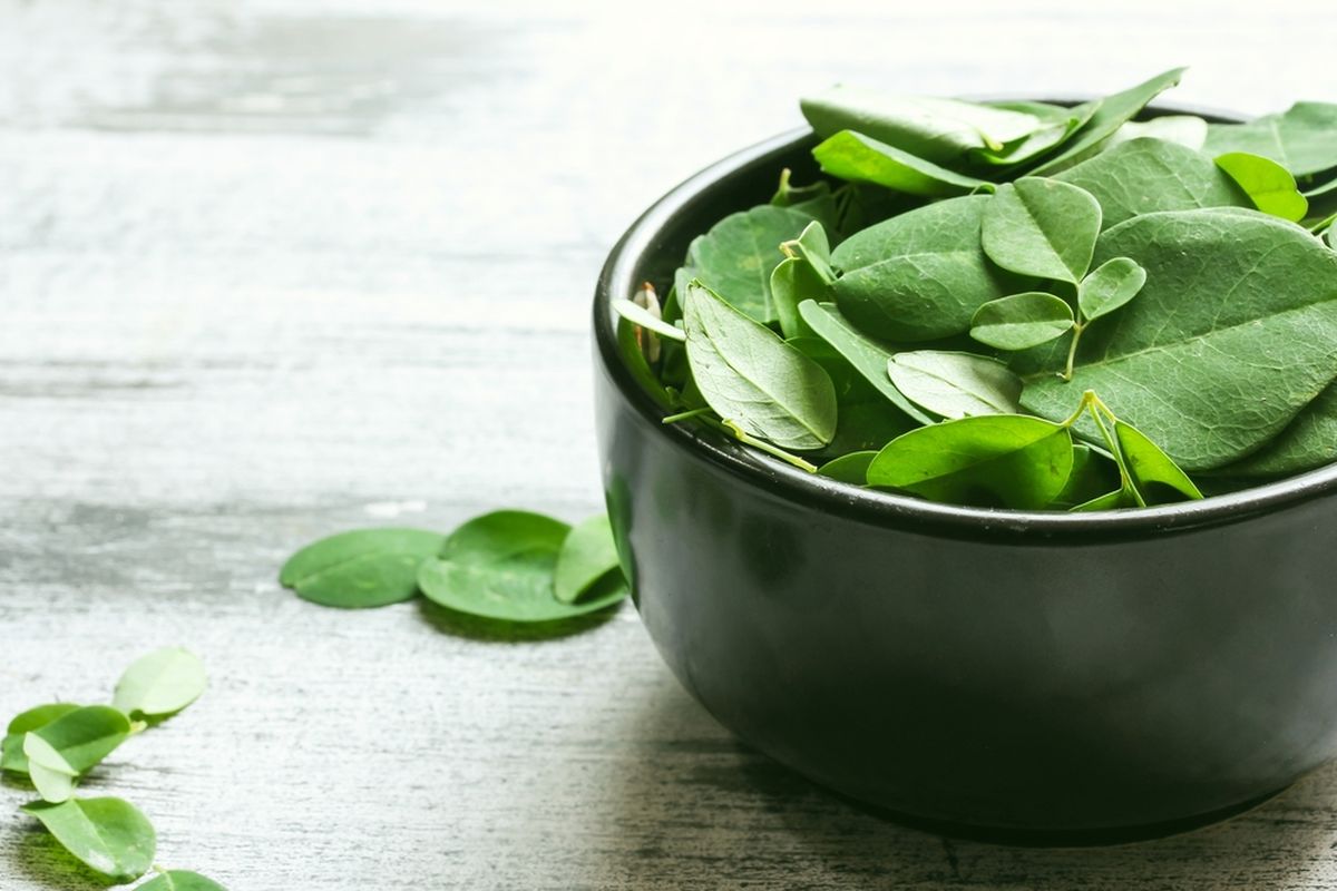 Manfaat daun kelor untuk kesehatan sangatlah beragam. Daun kelor biasanya diolah menjadi hidangan bersama bumbu atau bahan masakan lain, misalnya untuk membuat sayur atau sup.
