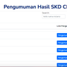 Pengumuman Hasil SKD CPNS Tahap 2, Cek Laman sscasn.bkn.go.id