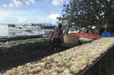 DPC PDI-P Kabupaten Semarang Tetap Dipimpin Ngesti Nugraha, Cari Kader untuk Pilkada