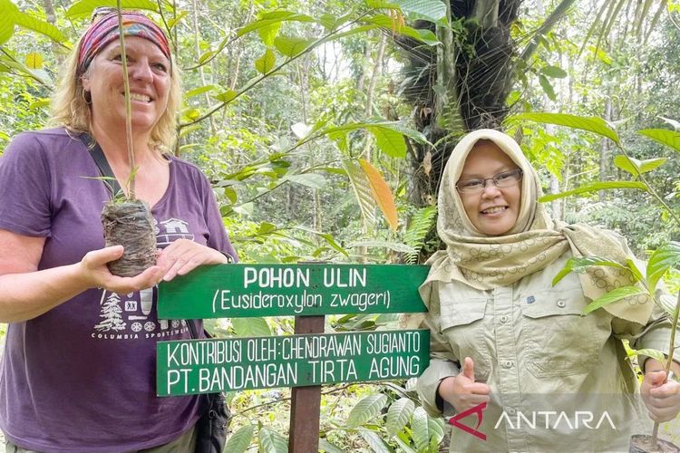 Valerie Preseault dari Universitas Montreal, Kanada dan Amalia Rezeki dari Universitas Lambung Mangkurat (ULM) saat memimpin aksi tanam pohon ulin (Eusideroxylon zwageri) dalam memperingati Hari Bumi Sedunia di Taman Biodiversitas Hutan Hujan Tropis  Lembah Bukit Manjai di Mandiangin Timur, Kabupaten Banjar, Kalimantan Selatan, Minggu (20/4/2025).