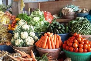 Mayoritas Pangan Nasional Dipenuhi Produksi Dalam Negeri, Hanya 3 Komoditas Diimpor