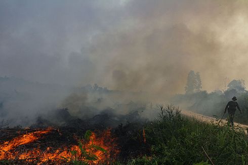 Walhi: Pemerintah Klaim Titik Api dan Kebakaran Turun, Nyatanya Sama