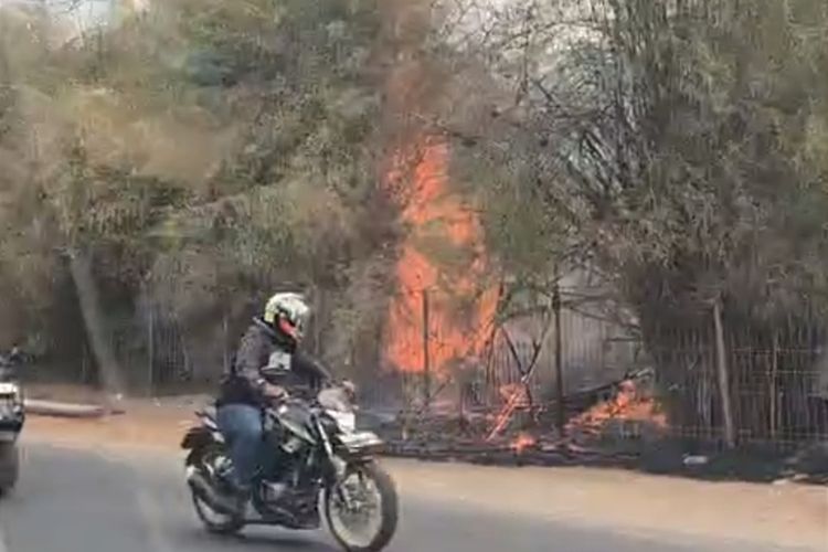 Pembakaran Sampah Picu Kebakaran Lahan di Kabupaten Bogor