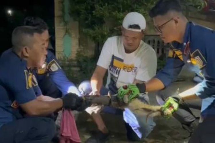 Cerita Damkar Klaten Selamatkan Kucing yang Kepalanya Terjebak Knalpot
