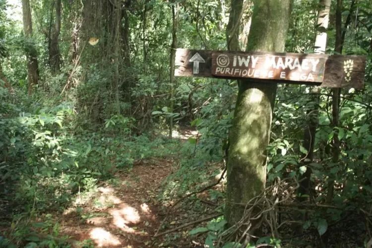 Jalan setapak kuno sepanjang 4.000 km yang menghubungkan Samudra Pasifik dan Atlantik kini mulai mengungkap misterinya kepada dunia. Pembuat dan rute aslinya hingga kini masih misteri.

