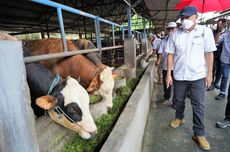 KemenKopUKM Dorong Koperasi Pangan Berbasis Integrated Farming 