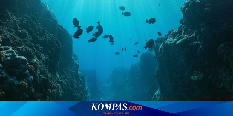 Peneliti Berhasil Ungkap Jalur Misterius di Laut Dalam Arktik
