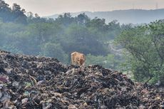 Cari Alternatif Lokasi Pembuangan Sampah, Pemkot Yogyakarta Kerja Sama dengan Klaten