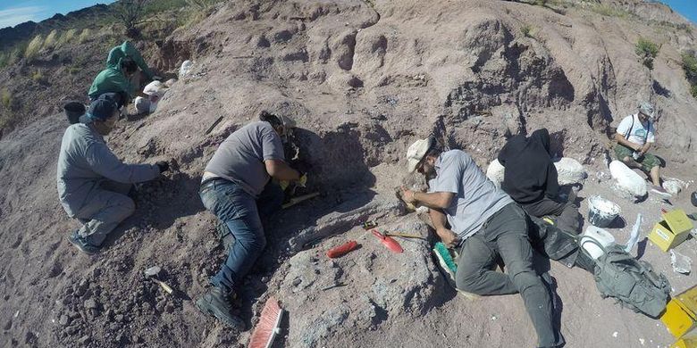 Fosil Dinosaurus Di Argentina Berasal Dari Keluarga Titanosaurus Tertua Halaman All Kompas Com Fosil Dinosaurus Di Argentina Berasal Dari Keluarga Titanosaurus Tertua Halaman All Kompas Com