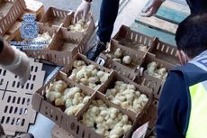 Bandara Internasional Madrid Kaget Temukan Puluhan Ribu Anak Ayam dan 6.000 Di Antaranya Mati 