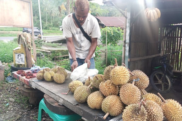 Berwisata sambil makan buah durian diperkenalkan kepada wisatawan asing dan Nusantara yang berkunjung ke Pulau Flores, NTT, Kamis, (9/3/2023). (KOMPAS.com/MARKUS MAKUR)