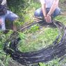 Polisi Tangkap 2 Pencuri Kabel Listrik PLN di Keerom Papua